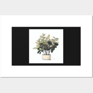 ZZ Plant Green and Nice Illustration Drawing Posters and Art